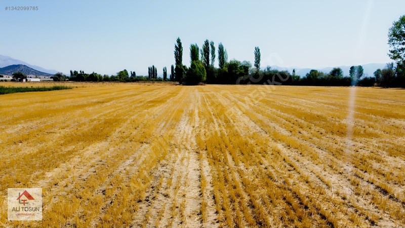 Ali Tosun'dan Sarılar'da Kadastral Yol Cepheli 37.291m² Arazi — fotoğraf 32