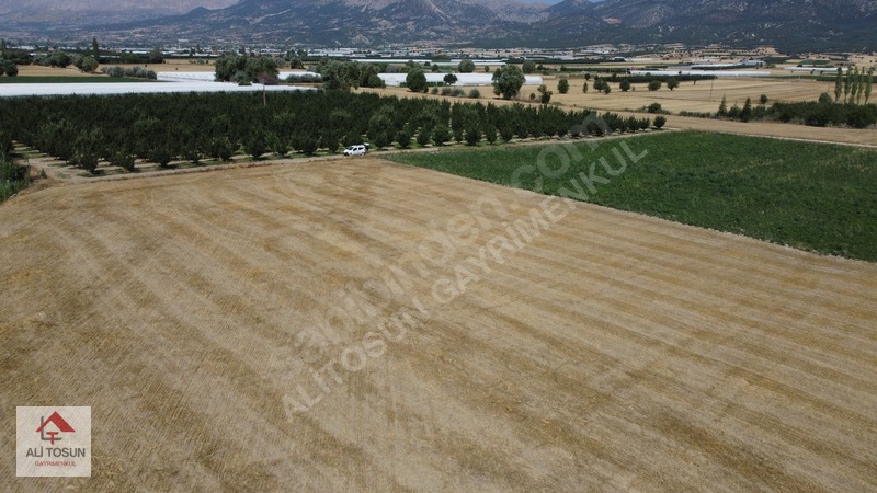 Ali Tosun'dan Sarılar'da Kadastral Yol Cepheli 37.291m² Arazi — fotoğraf 35