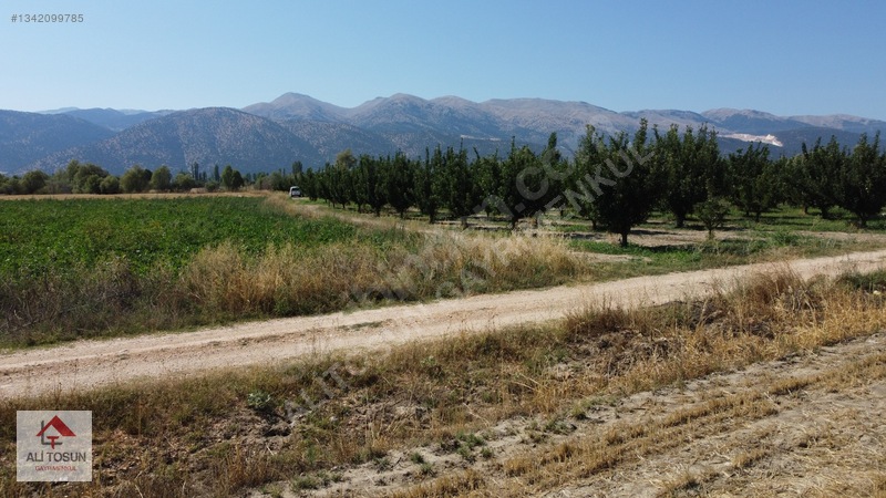 Ali Tosun'dan Sarılar'da Kadastral Yol Cepheli 37.291m² Arazi — fotoğraf 37