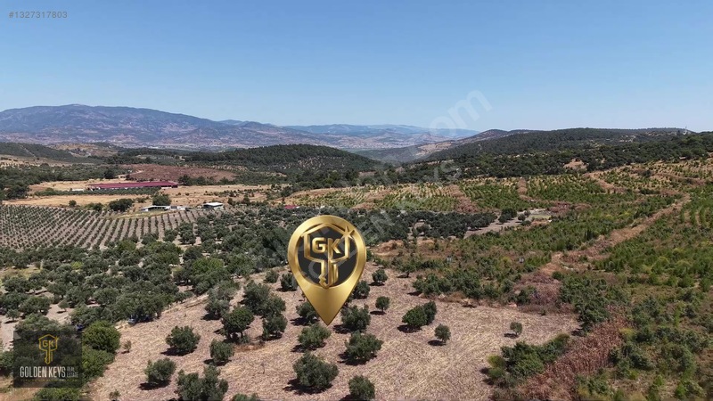 Bergama Cevaplı Mah.yola Cephe 2 Parsel Tek Fiyat Satılık — fotoğraf 3