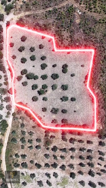Bergama Cevaplı Mah.yola Cephe 2 Parsel Tek Fiyat Satılık — fotoğraf 6