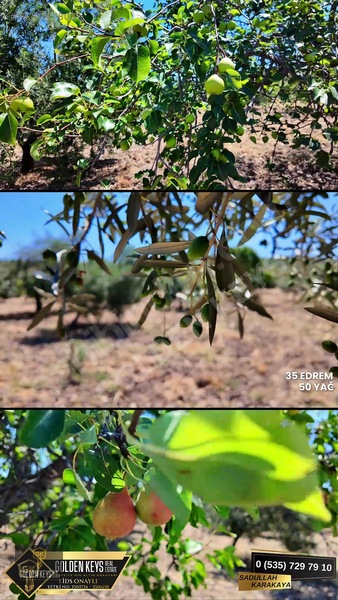 Bergama Cevaplı Mah.yola Cephe 2 Parsel Tek Fiyat Satılık — fotoğraf 8