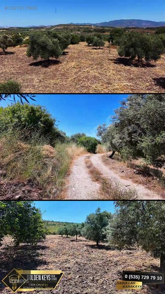 Bergama Cevaplı Mah.yola Cephe 2 Parsel Tek Fiyat Satılık — fotoğraf 10