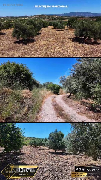 Bergama Cevaplı Mah.yola Cephe 2 Parsel Tek Fiyat Satılık — fotoğraf 11