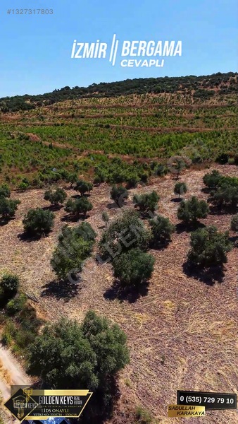 Bergama Cevaplı Mah.yola Cephe 2 Parsel Tek Fiyat Satılık — fotoğraf 12