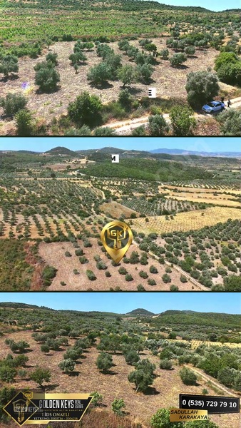 Bergama Cevaplı Mah.yola Cephe 2 Parsel Tek Fiyat Satılık — fotoğraf 13