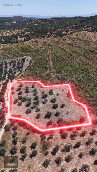 Bergama Cevaplı Mah.yola Cephe 2 Parsel Tek Fiyat Satılık — fotoğraf 14