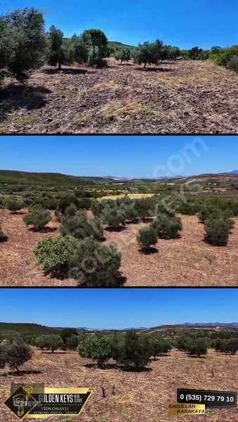 Bergama Cevaplı Mah.yola Cephe 2 Parsel Tek Fiyat Satılık — fotoğraf 16