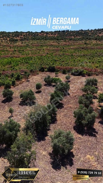 Bergama Cevaplı Mah.yola Cephe 2 Parsel Tek Fiyat Satılık — fotoğraf 17