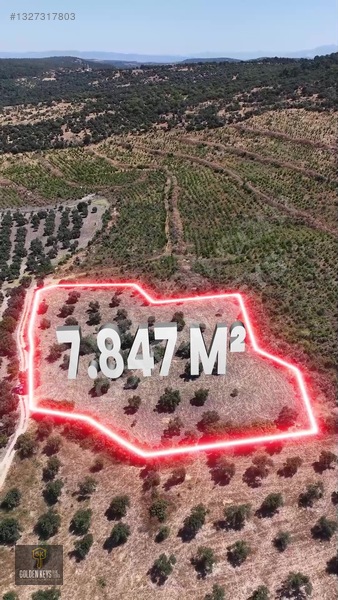Bergama Cevaplı Mah.yola Cephe 2 Parsel Tek Fiyat Satılık — fotoğraf 18