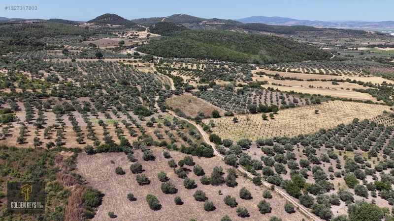 Bergama Cevaplı Mah.yola Cephe 2 Parsel Tek Fiyat Satılık — fotoğraf 20