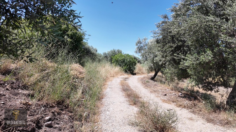 Bergama Cevaplı Mah.yola Cephe 2 Parsel Tek Fiyat Satılık — fotoğraf 21