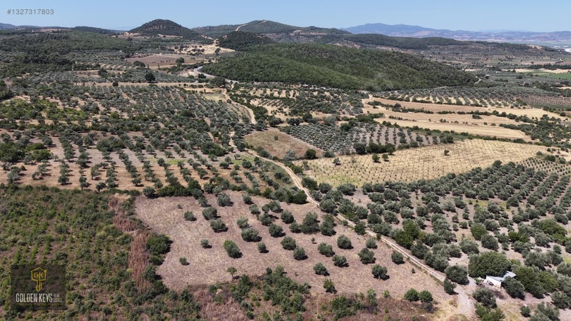 Bergama Cevaplı Mah.yola Cephe 2 Parsel Tek Fiyat Satılık — fotoğraf 23