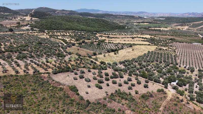 Bergama Cevaplı Mah.yola Cephe 2 Parsel Tek Fiyat Satılık — fotoğraf 25