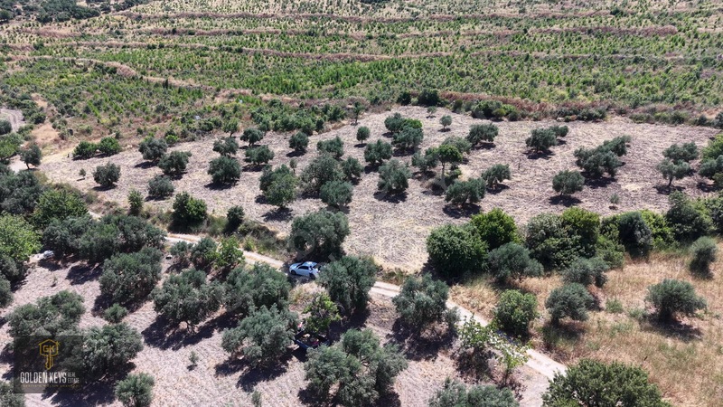 Bergama Cevaplı Mah.yola Cephe 2 Parsel Tek Fiyat Satılık — fotoğraf 29