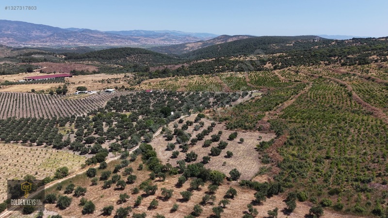Bergama Cevaplı Mah.yola Cephe 2 Parsel Tek Fiyat Satılık — fotoğraf 30