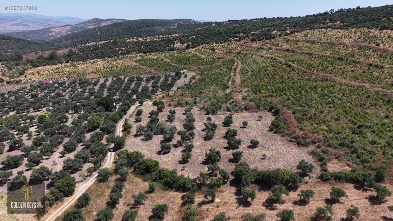 Bergama Cevaplı Mah.yola Cephe 2 Parsel Tek Fiyat Satılık — fotoğraf 31