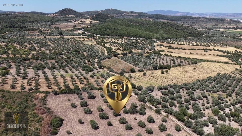 Bergama Cevaplı Mah.yola Cephe 2 Parsel Tek Fiyat Satılık — fotoğraf 33
