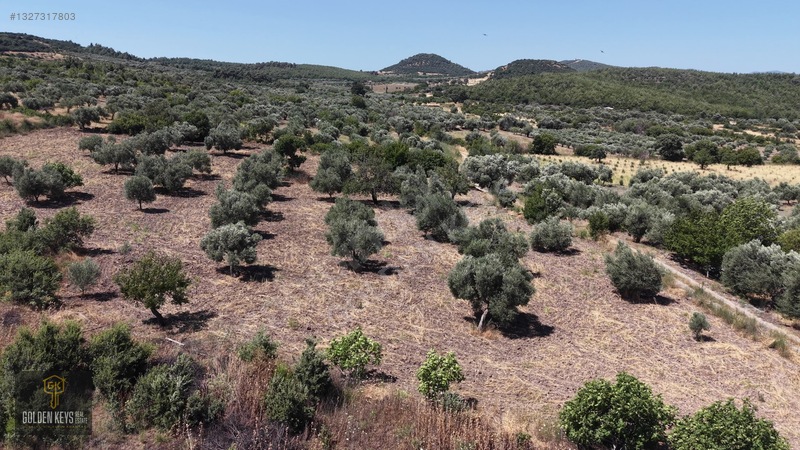 Bergama Cevaplı Mah.yola Cephe 2 Parsel Tek Fiyat Satılık — fotoğraf 34