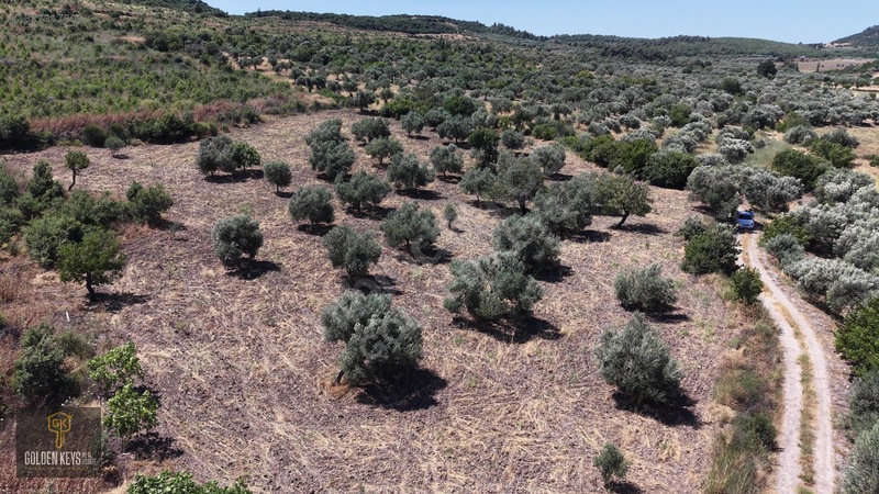 Bergama Cevaplı Mah.yola Cephe 2 Parsel Tek Fiyat Satılık — fotoğraf 37