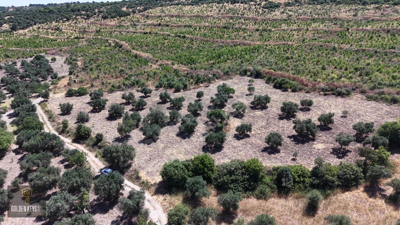 Bergama Cevaplı Mah.yola Cephe 2 Parsel Tek Fiyat Satılık — fotoğraf 38