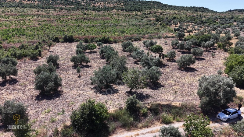 Bergama Cevaplı Mah.yola Cephe 2 Parsel Tek Fiyat Satılık — fotoğraf 42