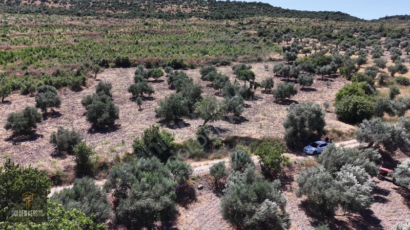 Bergama Cevaplı Mah.yola Cephe 2 Parsel Tek Fiyat Satılık — fotoğraf 43