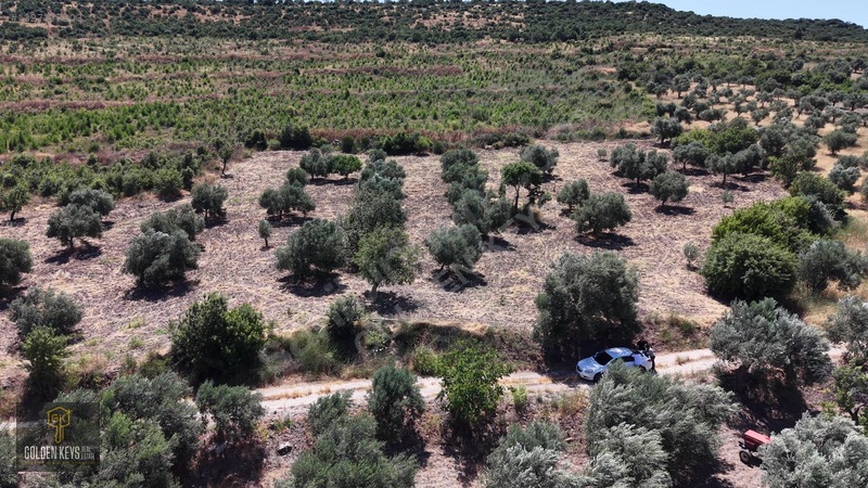 Bergama Cevaplı Mah.yola Cephe 2 Parsel Tek Fiyat Satılık — fotoğraf 44