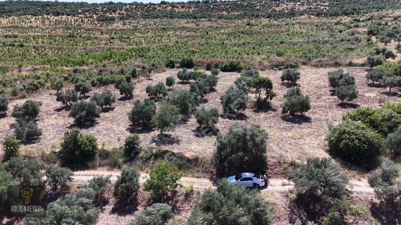 Bergama Cevaplı Mah.yola Cephe 2 Parsel Tek Fiyat Satılık — fotoğraf 45