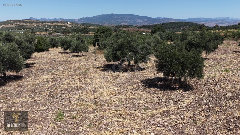 Bergama Cevaplı Mah.yola Cephe 2 Parsel Tek Fiyat Satılık — fotoğraf 46