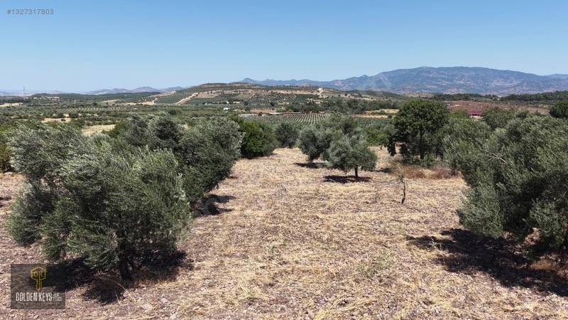 Bergama Cevaplı Mah.yola Cephe 2 Parsel Tek Fiyat Satılık — fotoğraf 48