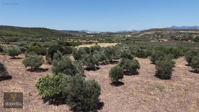Bergama Cevaplı Mah.yola Cephe 2 Parsel Tek Fiyat Satılık — fotoğraf 51
