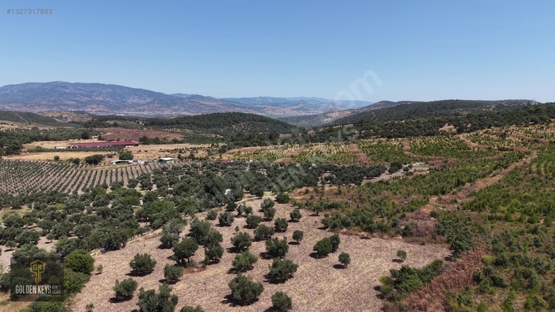 Bergama Cevaplı Mah.yola Cephe 2 Parsel Tek Fiyat Satılık — fotoğraf 53