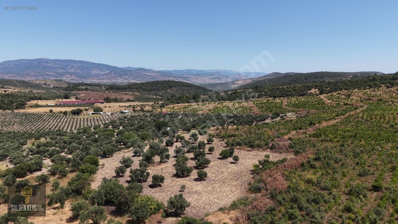 Bergama Cevaplı Mah.yola Cephe 2 Parsel Tek Fiyat Satılık — fotoğraf 54