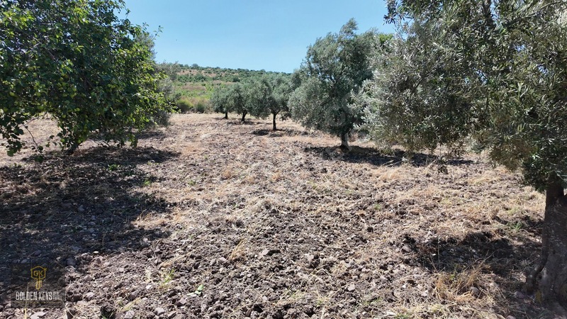 Bergama Cevaplı Mah.yola Cephe 2 Parsel Tek Fiyat Satılık — fotoğraf 55