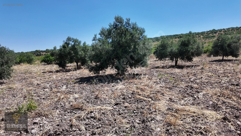 Bergama Cevaplı Mah.yola Cephe 2 Parsel Tek Fiyat Satılık — fotoğraf 57