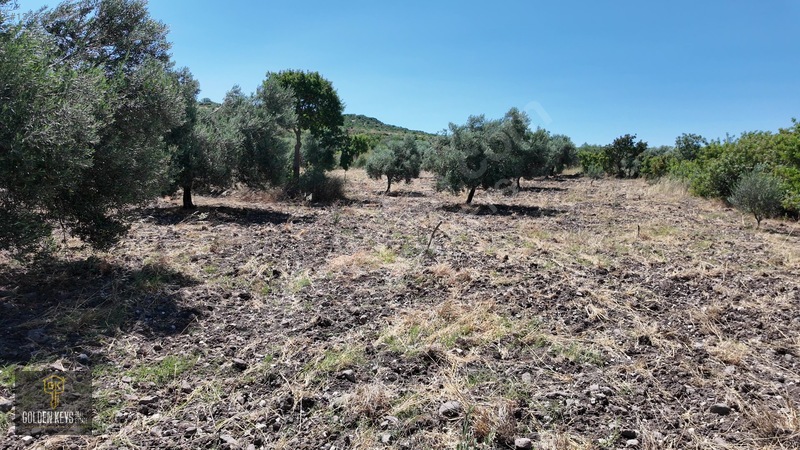 Bergama Cevaplı Mah.yola Cephe 2 Parsel Tek Fiyat Satılık — fotoğraf 59