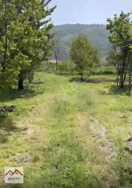 Marka Dan Fırsat !!!! Fiyat Düştü 3 Gün İçin!! — fotoğraf 4