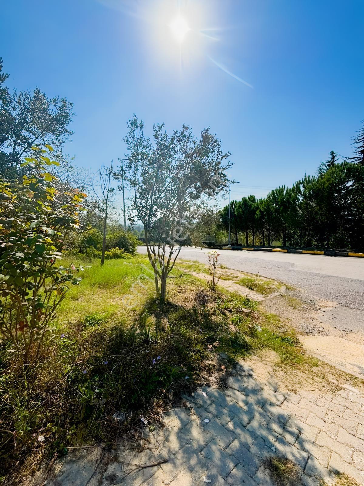 Remax Desıgn Karaman 1475 Adada Satılık 3+1 Daire — fotoğraf 11