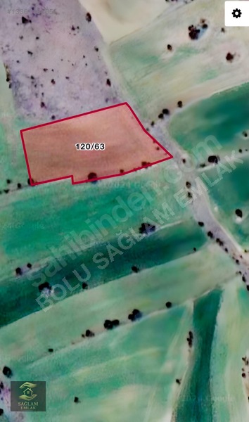 Araç Takasına Açık-ayaş Yağmurdede'de Satılık 4018 M² Tarla — fotoğraf 6