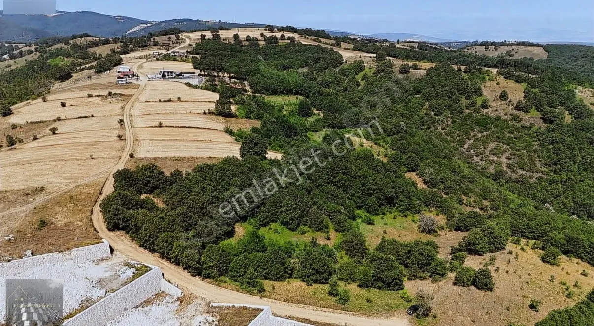 Nilüfer Üçpınar'da 1769 M² Satılık Tarla — fotoğraf 12