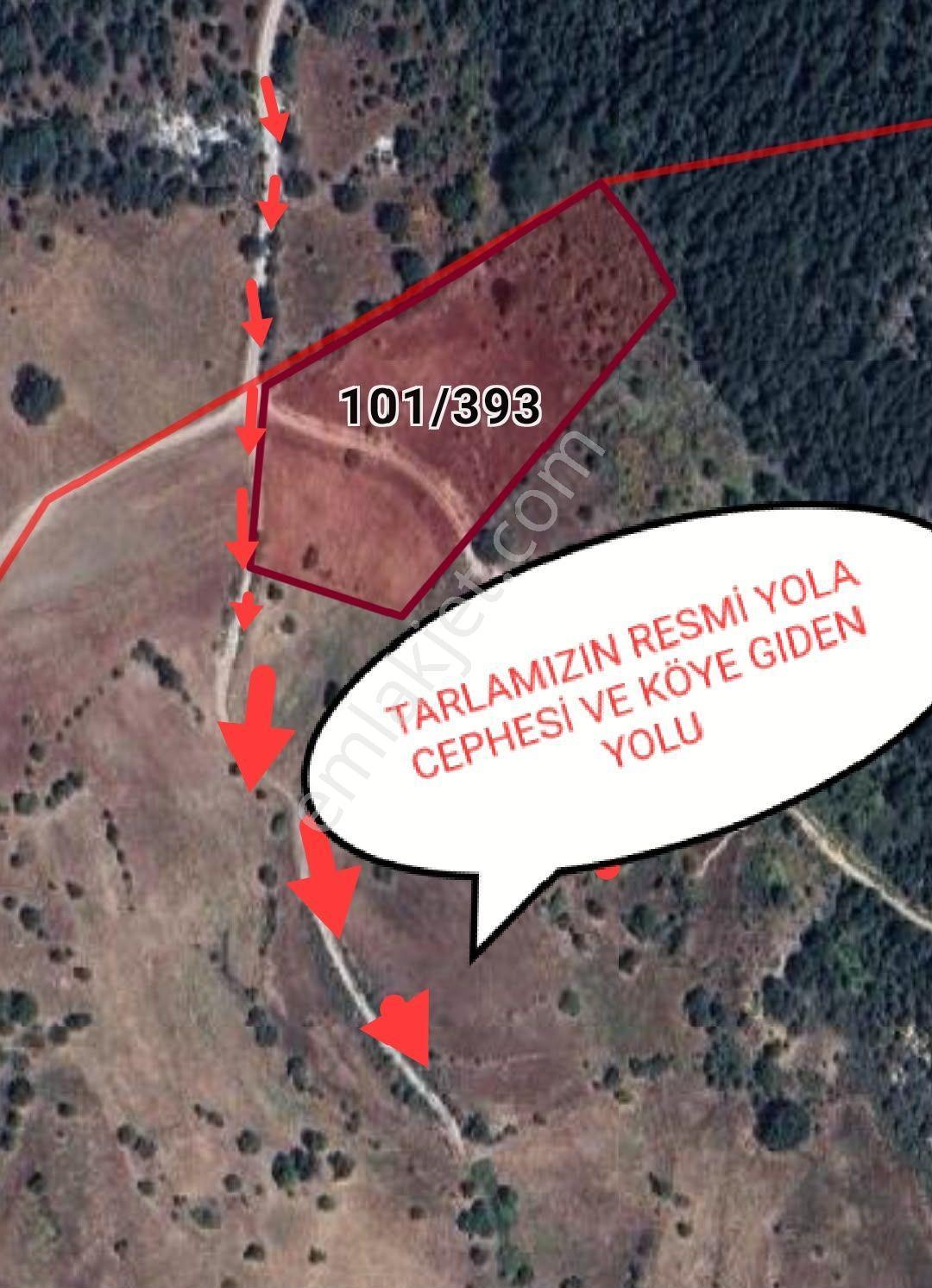 Bigadiç Haciömer Deresinde 11700 M Tarla — fotoğraf 8