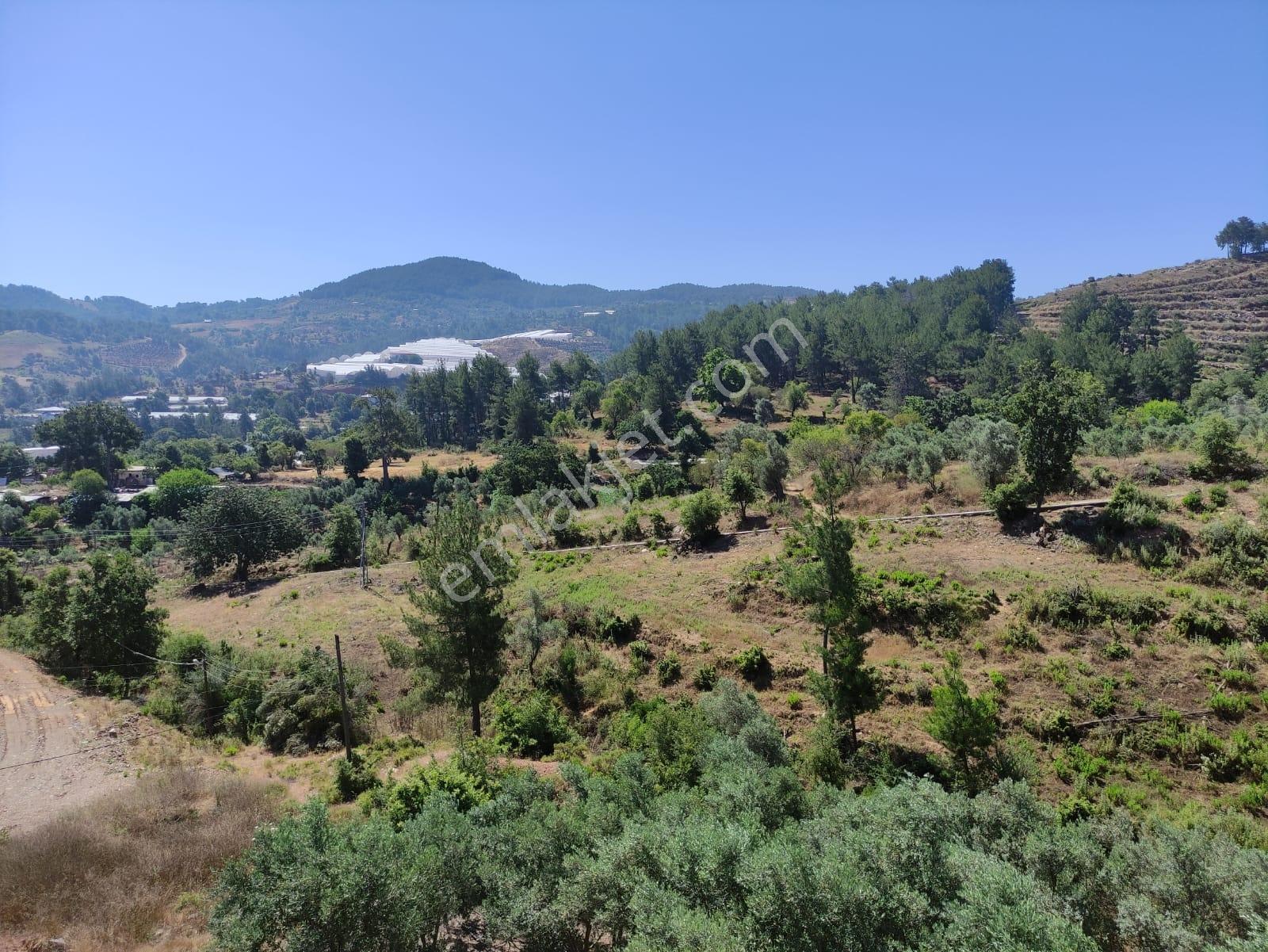 Denize Ve Turistik Noktalara Kolay Ulaşımlı | 4.575 M² Tarla — fotoğraf 2