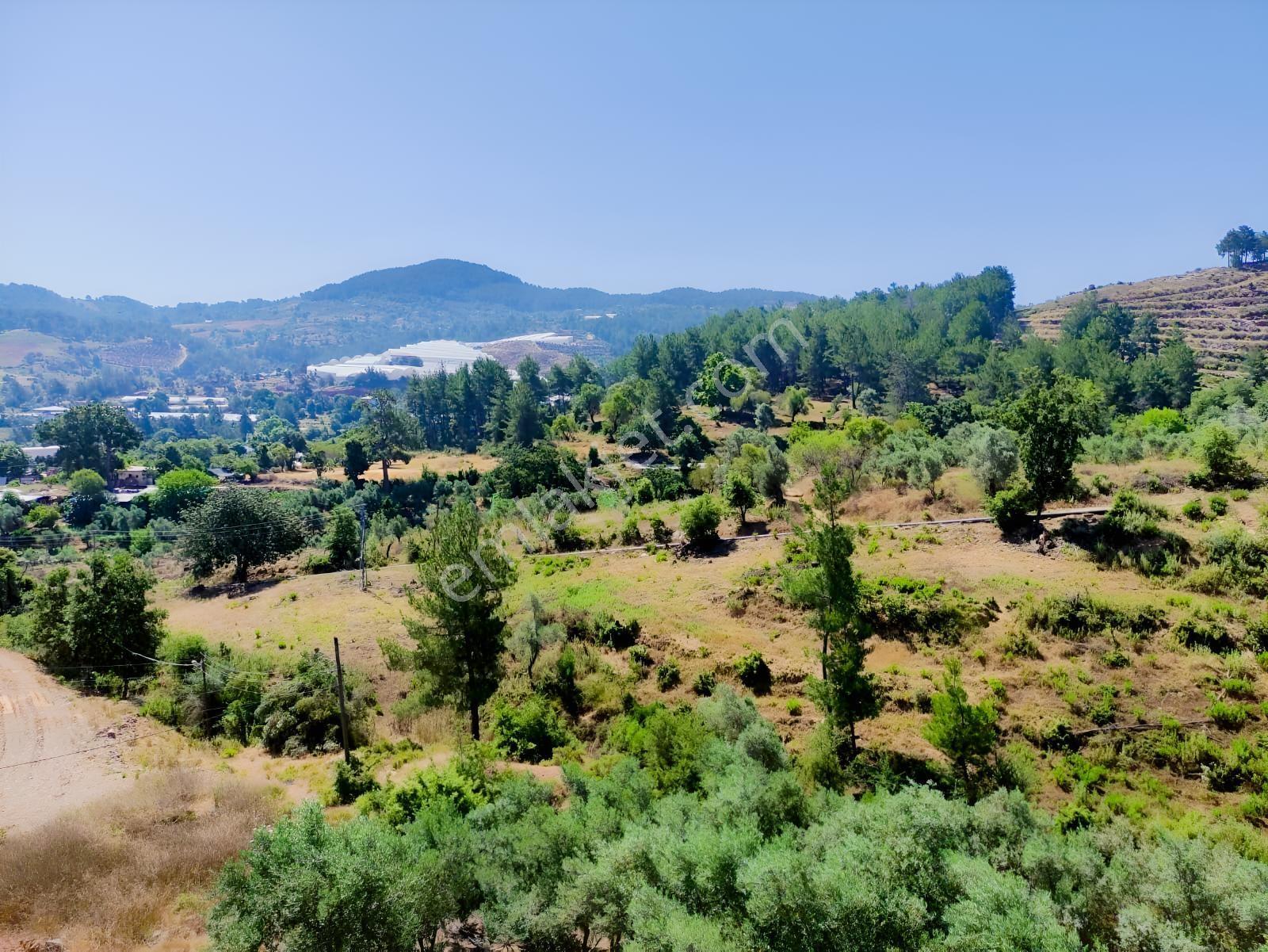 Denize Ve Turistik Noktalara Kolay Ulaşımlı | 4.575 M² Tarla — fotoğraf 5