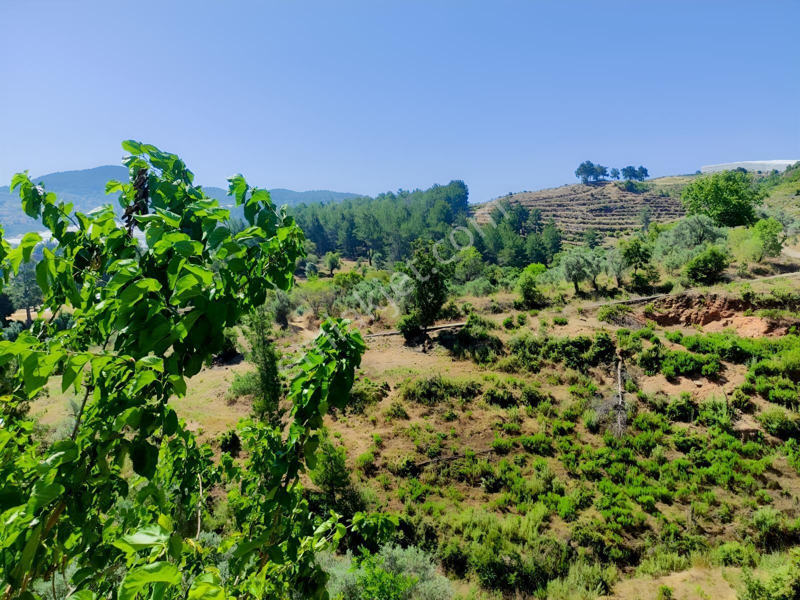 Denize Ve Turistik Noktalara Kolay Ulaşımlı | 4.575 M² Tarla — fotoğraf 6