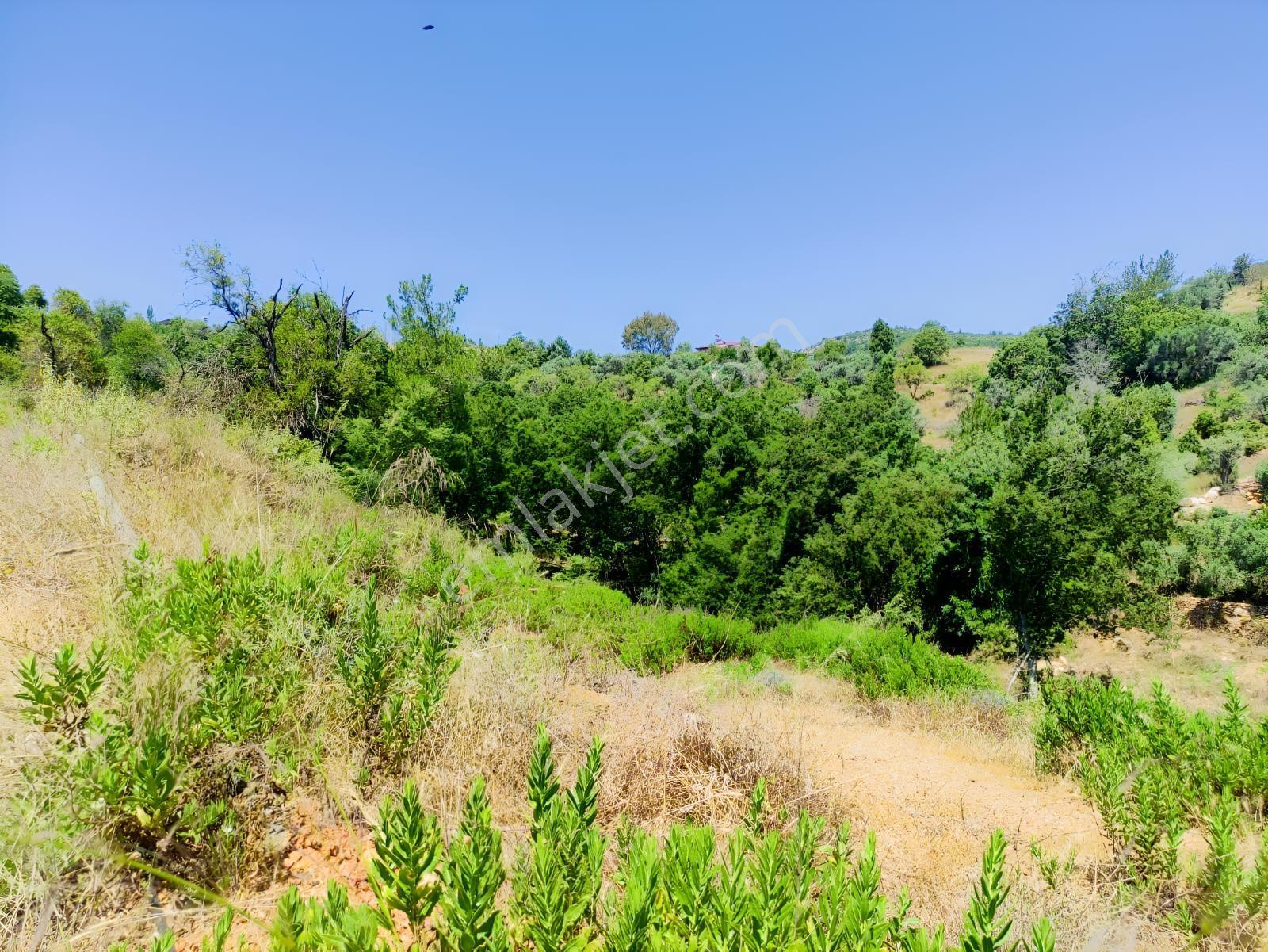 Denize Ve Turistik Noktalara Kolay Ulaşımlı | 4.575 M² Tarla — fotoğraf 8