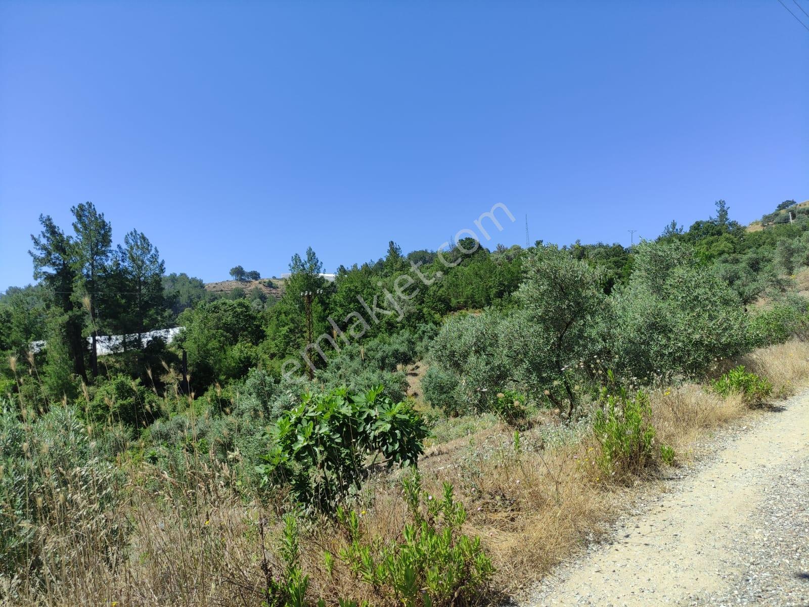 Denize Ve Turistik Noktalara Kolay Ulaşımlı | 4.575 M² Tarla — fotoğraf 9