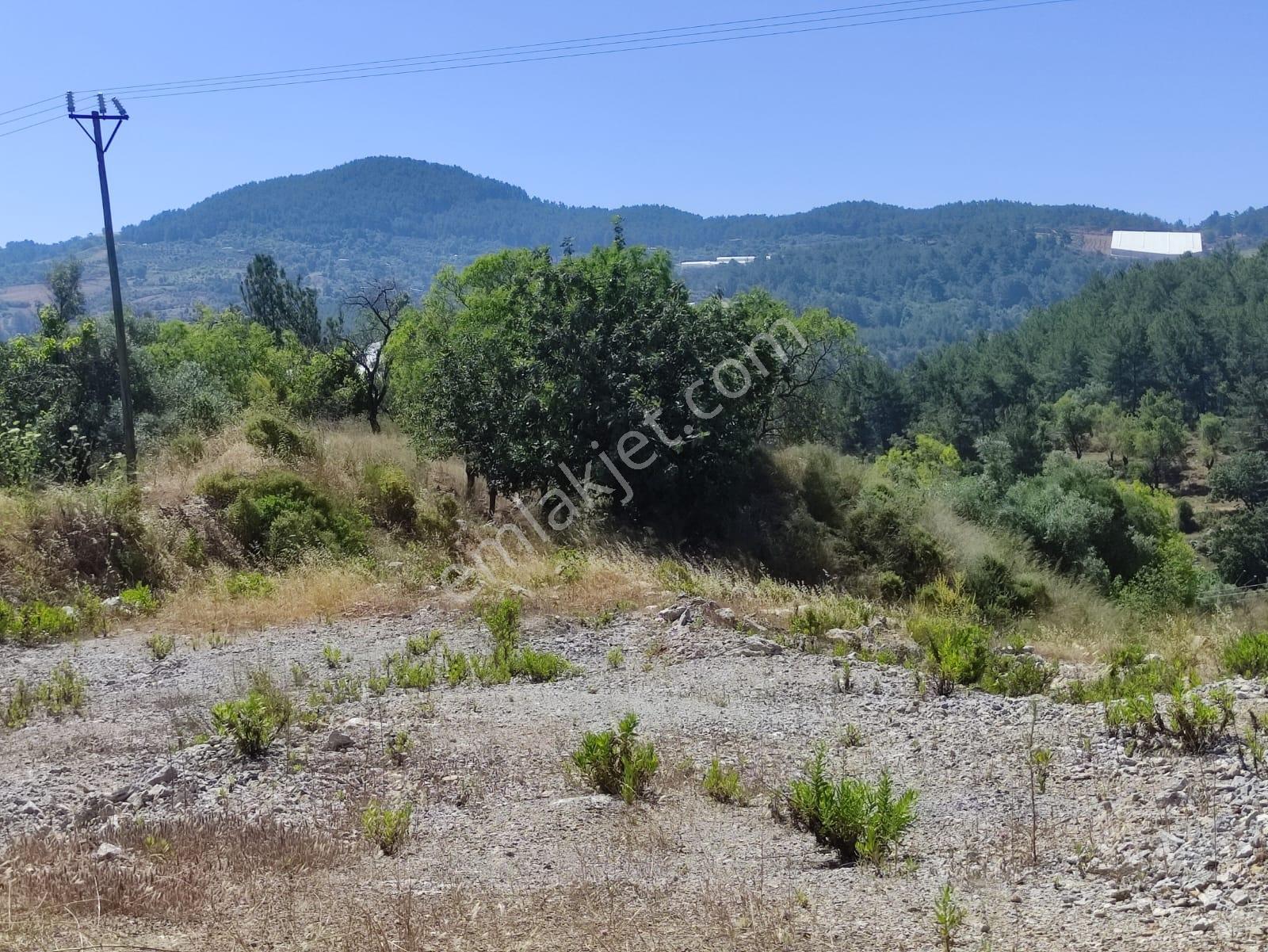 Denize Ve Turistik Noktalara Kolay Ulaşımlı | 4.575 M² Tarla — fotoğraf 10