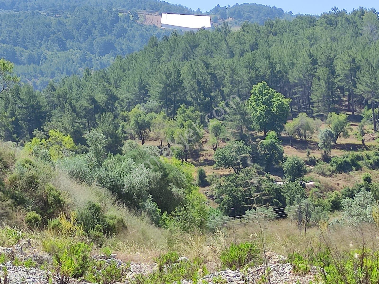 Denize Ve Turistik Noktalara Kolay Ulaşımlı | 4.575 M² Tarla — fotoğraf 11