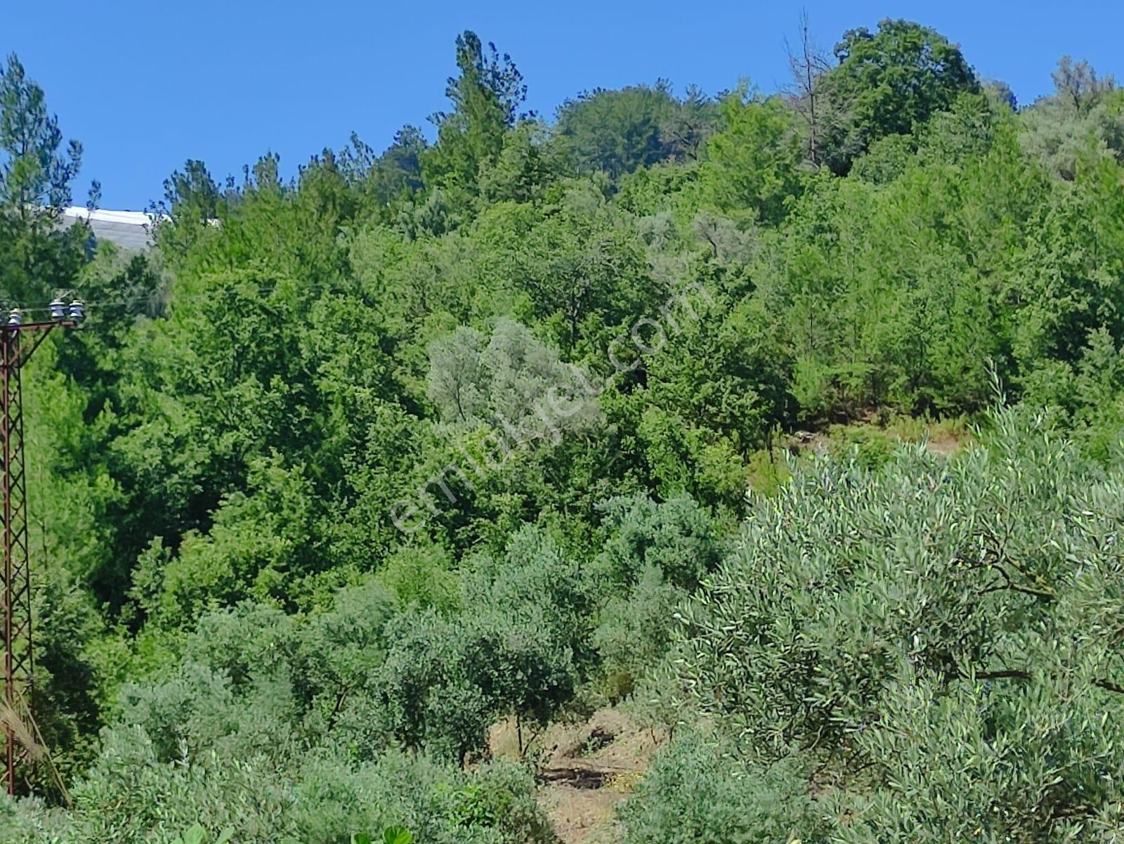 Denize Ve Turistik Noktalara Kolay Ulaşımlı | 4.575 M² Tarla — fotoğraf 12